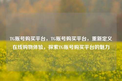 TG账号购买平台，TG账号购买平台，重新定义在线购物体验，探索TG账号购买平台的魅力