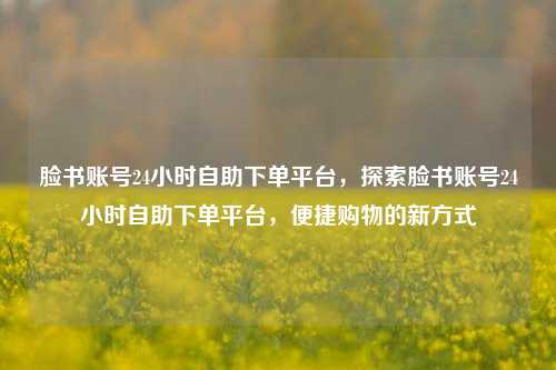 脸书账号24小时自助下单平台，探索脸书账号24小时自助下单平台，便捷购物的新方式