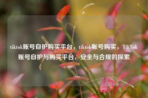 tiktok账号自护购买平台	，tiktok帐号购买，TikTok账号自护与购买平台，安全与合规的探索  第1张