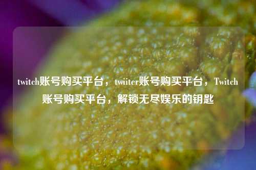 twitch账号购买平台，twiiter账号购买平台，Twitch账号购买平台，解锁无尽娱乐的钥匙