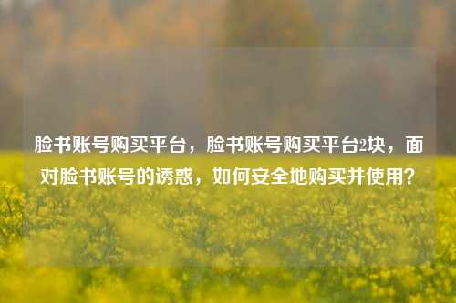 脸书账号购买平台，脸书账号购买平台2块，面对脸书账号的诱惑，如何安全地购买并使用？