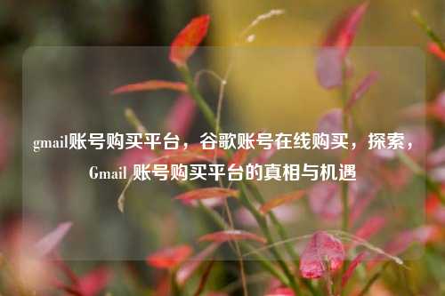 gmail账号购买平台，谷歌账号在线购买，探索，Gmail 账号购买平台的真相与机遇