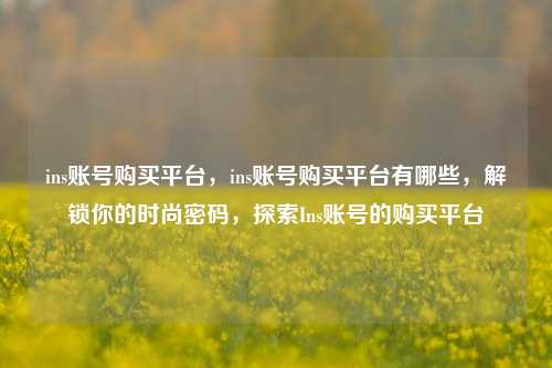 ins账号购买平台，ins账号购买平台有哪些，解锁你的时尚密码，探索Ins账号的购买平台