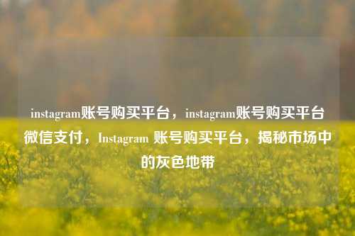 instagram账号购买平台，instagram账号购买平台微信支付，Instagram 账号购买平台，揭秘市场中的灰色地带