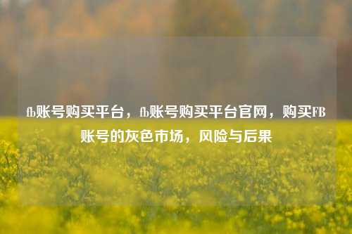 fb账号购买平台，fb账号购买平台官网，购买FB账号的灰色市场，风险与后果