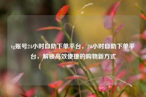 tg账号24小时自助下单平台，24小时自助下单平台，解锁高效便捷的购物新方式