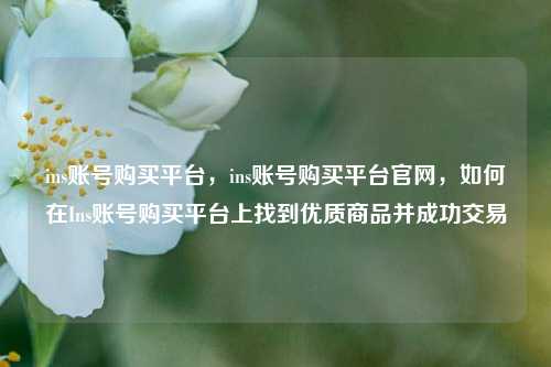 ins账号购买平台，ins账号购买平台官网，如何在Ins账号购买平台上找到优质商品并成功交易