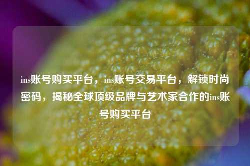 ins账号购买平台，ins账号交易平台，解锁时尚密码，揭秘全球顶级品牌与艺术家合作的ins账号购买平台