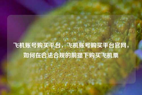 飞机账号购买平台，飞机账号购买平台官网，如何在合法合规的前提下购买飞机票