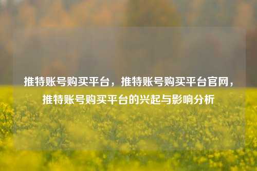 推特账号购买平台，推特账号购买平台官网，推特账号购买平台的兴起与影响分析