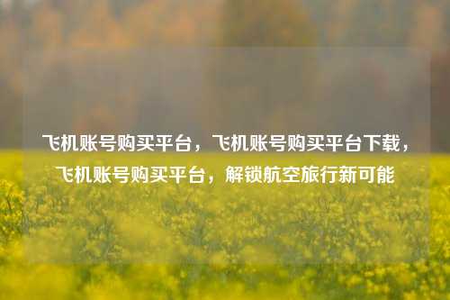 飞机账号购买平台，飞机账号购买平台下载，飞机账号购买平台，解锁航空旅行新可能