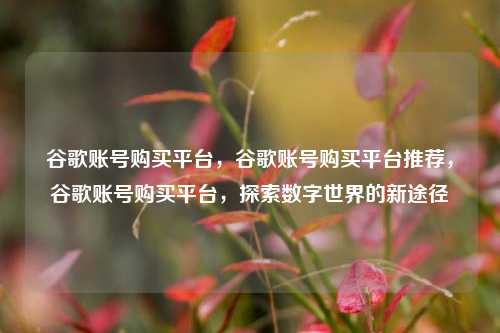 谷歌账号购买平台，谷歌账号购买平台推荐，谷歌账号购买平台，探索数字世界的新途径