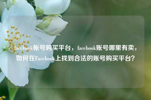 facebook帐号购买平台，facebook账号哪里有卖，如何在Facebook上找到合法的账号购买平台？
