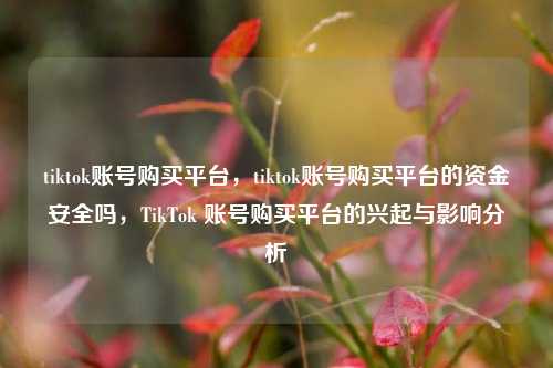 tiktok账号购买平台，tiktok账号购买平台的资金安全吗，TikTok 账号购买平台的兴起与影响分析