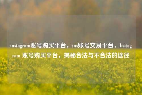 instagram账号购买平台，ins账号交易平台，Instagram 账号购买平台，揭秘合法与不合法的途径