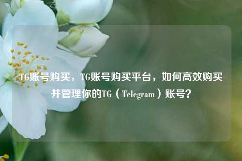 TG账号购买，TG账号购买平台，如何高效购买并管理你的TG（Telegram）账号？
