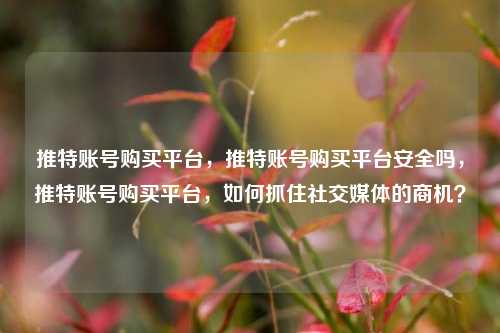 推特账号购买平台，推特账号购买平台安全吗，推特账号购买平台，如何抓住社交媒体的商机？