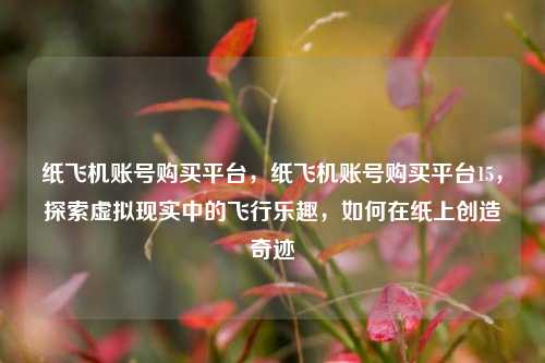 纸飞机账号购买平台，纸飞机账号购买平台15，探索虚拟现实中的飞行乐趣，如何在纸上创造奇迹
