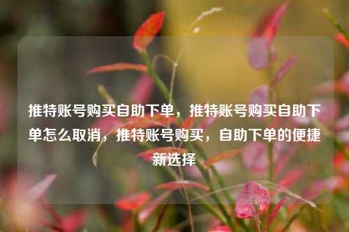 推特账号购买自助下单，推特账号购买自助下单怎么取消，推特账号购买，自助下单的便捷新选择