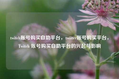 twitch账号购买自助平台，twiiter账号购买平台，Twitch 账号购买自助平台的兴起与影响