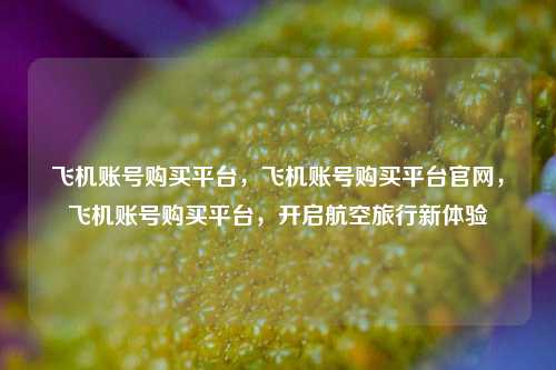 飞机账号购买平台，飞机账号购买平台官网，飞机账号购买平台，开启航空旅行新体验