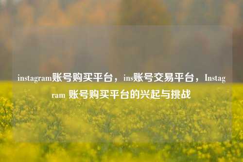 instagram账号购买平台，ins账号交易平台，Instagram 账号购买平台的兴起与挑战