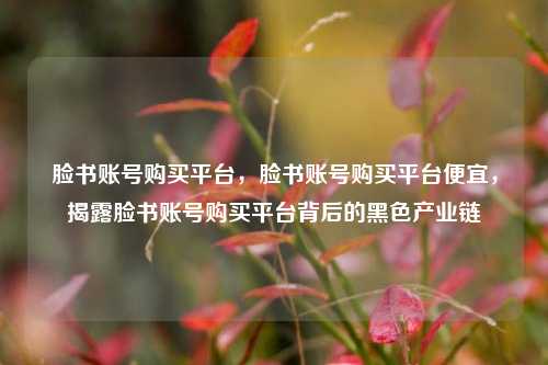 脸书账号购买平台，脸书账号购买平台便宜，揭露脸书账号购买平台背后的黑色产业链