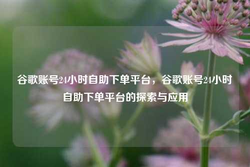 谷歌账号24小时自助下单平台，谷歌账号24小时自助下单平台的探索与应用