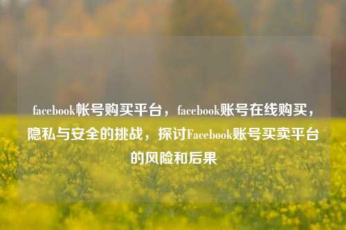 facebook帐号购买平台，facebook账号在线购买，隐私与安全的挑战，探讨Facebook账号买卖平台的风险和后果