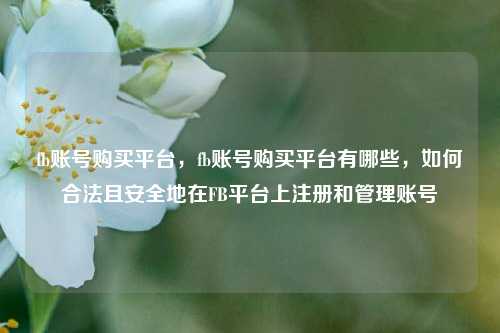fb账号购买平台，fb账号购买平台有哪些，如何合法且安全地在FB平台上注册和管理账号
