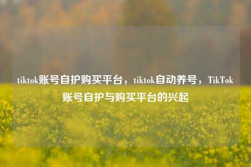 tiktok账号自护购买平台，tiktok自动养号，TikTok账号自护与购买平台的兴起