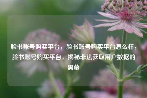 脸书账号购买平台，脸书账号购买平台怎么样，脸书账号购买平台，揭秘非法获取用户数据的黑幕