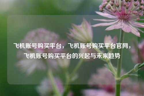 飞机账号购买平台，飞机账号购买平台官网，飞机账号购买平台的兴起与未来趋势