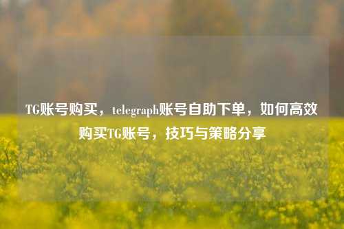 TG账号购买，telegraph账号自助下单，如何高效购买TG账号，技巧与策略分享