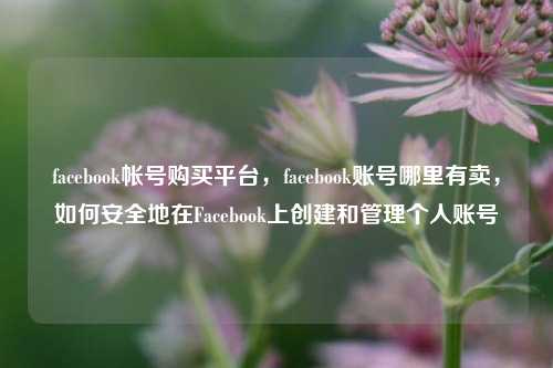 facebook帐号购买平台，facebook账号哪里有卖，如何安全地在Facebook上创建和管理个人账号