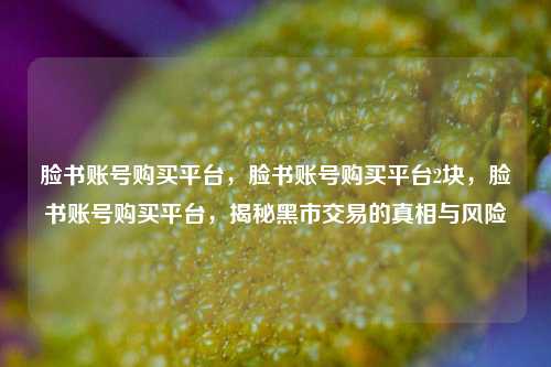 脸书账号购买平台，脸书账号购买平台2块，脸书账号购买平台，揭秘黑市交易的真相与风险