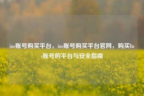 ins账号购买平台，ins账号购买平台官网，购买Ins账号的平台与安全指南