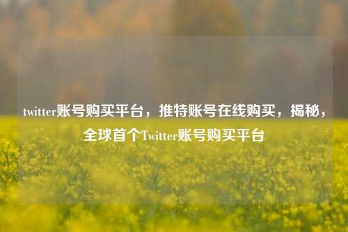 twitter账号购买平台，推特账号在线购买	，揭秘，全球首个Twitter账号购买平台  第1张