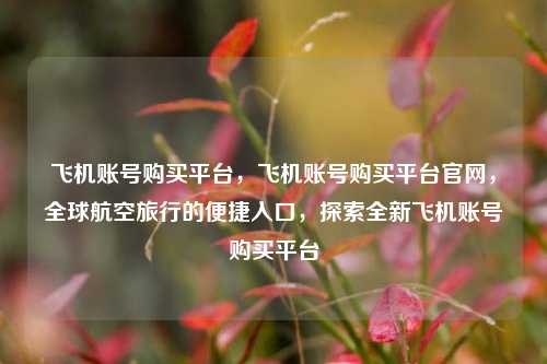 飞机账号购买平台，飞机账号购买平台官网，全球航空旅行的便捷入口，探索全新飞机账号购买平台