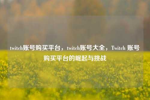 twitch账号购买平台，twitch账号大全，Twitch 账号购买平台的崛起与挑战