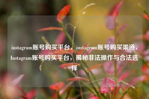 instagram账号购买平台，instagram账号购买渠道，Instagram账号购买平台，揭秘非法操作与合法选择