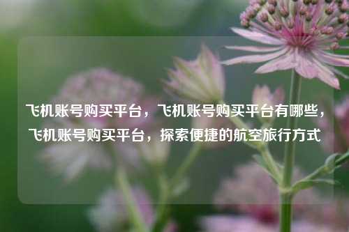 飞机账号购买平台，飞机账号购买平台有哪些，飞机账号购买平台，探索便捷的航空旅行方式