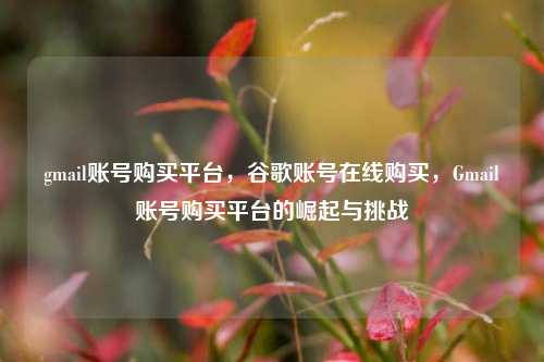 gmail账号购买平台，谷歌账号在线购买，Gmail账号购买平台的崛起与挑战
