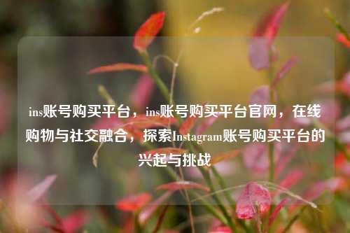 ins账号购买平台，ins账号购买平台官网，在线购物与社交融合，探索Instagram账号购买平台的兴起与挑战