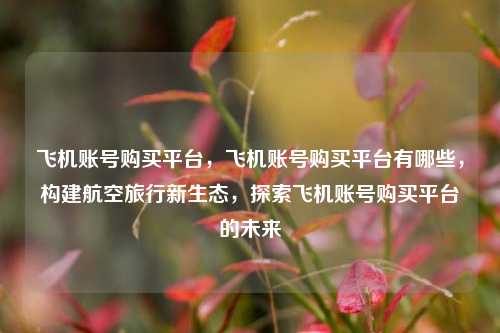 飞机账号购买平台，飞机账号购买平台有哪些，构建航空旅行新生态，探索飞机账号购买平台的未来