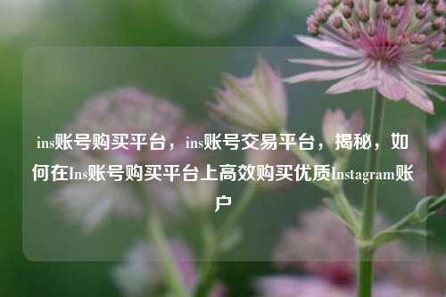 ins账号购买平台，ins账号交易平台，揭秘，如何在Ins账号购买平台上高效购买优质Instagram账户
