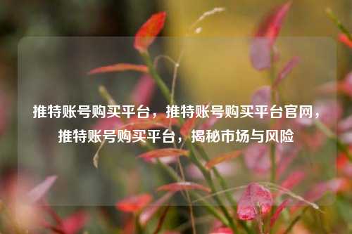 推特账号购买平台，推特账号购买平台官网，推特账号购买平台，揭秘市场与风险