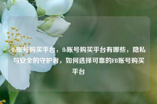 fb账号购买平台，fb账号购买平台有哪些，隐私与安全的守护者，如何选择可靠的FB账号购买平台