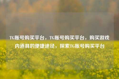 TG账号购买平台，TG账号购买平台，购买游戏内道具的便捷途径，探索TG账号购买平台