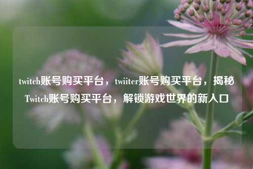 twitch账号购买平台，twiiter账号购买平台，揭秘Twitch账号购买平台，解锁游戏世界的新入口